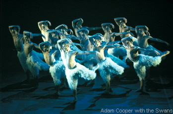 Adam Cooper with the Swans